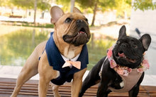 Cargar imagen en el visor de la galería, Arnés para matrimonio