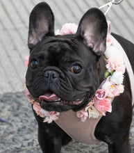 Cargar imagen en el visor de la galería, Arnés para matrimonio