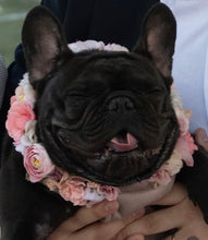 Cargar imagen en el visor de la galería, Arnés para matrimonio