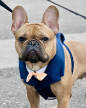 Cargar imagen en el visor de la galería, Arnés tipo smoking para matrimonio
