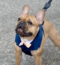 Cargar imagen en el visor de la galería, Arnés tipo smoking para matrimonio