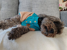 Cargar imagen en el visor de la galería, Polerón teddy