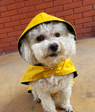 Cargar imagen en el visor de la galería, impermeable para perro Doglamour