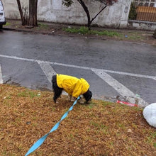 Cargar imagen en el visor de la galería, impermeable para perro Doglamour