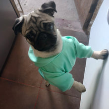 Cargar imagen en el visor de la galería, Hoodie clásico verde agua