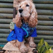 Cargar imagen en el visor de la galería, impermeable para perro Doglamour