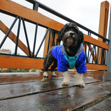 Cargar imagen en el visor de la galería, impermeable para perro Doglamour