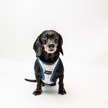 Cargar imagen en el visor de la galería, Arnés para perro arcoiris