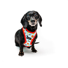 Cargar imagen en el visor de la galería, Arnés para perro Sport Fun!
