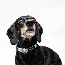 Cargar imagen en el visor de la galería, Collar Sport Fun!