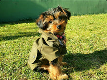 Cargar imagen en el visor de la galería, impermeable para perro Doglamour