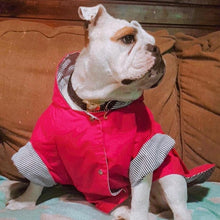 Cargar imagen en el visor de la galería, impermeable para perro Doglamour