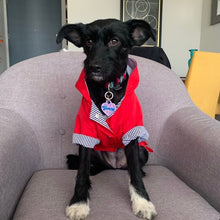 Cargar imagen en el visor de la galería, impermeable para perro Doglamour