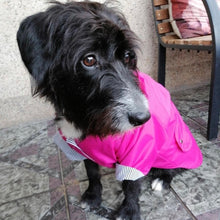 Cargar imagen en el visor de la galería, impermeable para perro Doglamour