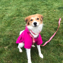 Cargar imagen en el visor de la galería, impermeable para perro Doglamour