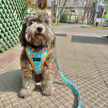 Cargar imagen en el visor de la galería, Arnés para perro My Happy H0ur!