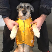 Cargar imagen en el visor de la galería, impermeable para perro Doglamour