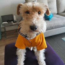 Cargar imagen en el visor de la galería, impermeable para perro Doglamour