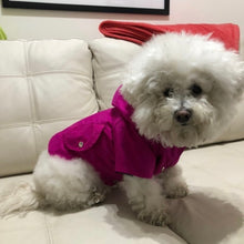 Cargar imagen en el visor de la galería, impermeable para perro Doglamour