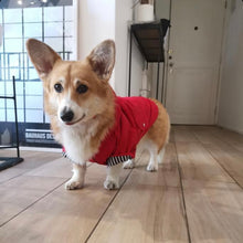 Cargar imagen en el visor de la galería, impermeable para perro Doglamour