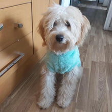 Cargar imagen en el visor de la galería, poleron para perro