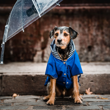 Cargar imagen en el visor de la galería, impermeable para perro Doglamour