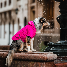 Cargar imagen en el visor de la galería, impermeable para perro Doglamour