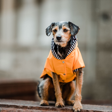 Cargar imagen en el visor de la galería, impermeable para perro Doglamour