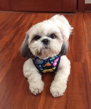 Cargar imagen en el visor de la galería, Arnés para perro Floral Ditsy