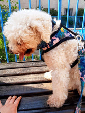 Cargar imagen en el visor de la galería, arnés para perro jungle