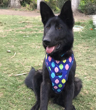 Cargar imagen en el visor de la galería, arnés para perro leaves