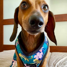 Cargar imagen en el visor de la galería, arnés para perro jungle