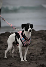 Cargar imagen en el visor de la galería, Arnés para perro Floral Pastel