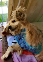 Cargar imagen en el visor de la galería, arnés para perro tropical leaves