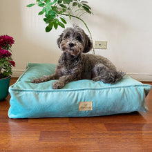 Cargar imagen en el visor de la galería, Cama modelo Comfort - Verde menta