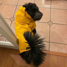 Cargar imagen en el visor de la galería, impermeable para perro Doglamour
