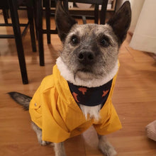 Cargar imagen en el visor de la galería, impermeable para perro Doglamour