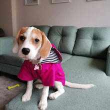 Cargar imagen en el visor de la galería, impermeable para perro Doglamour