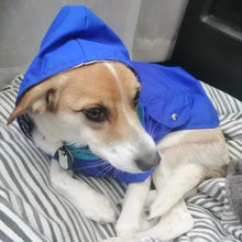 Cargar imagen en el visor de la galería, impermeable para perro Doglamour