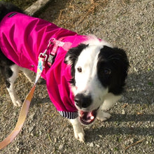 Cargar imagen en el visor de la galería, impermeable para perro Doglamour