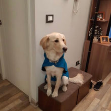 Cargar imagen en el visor de la galería, impermeable para perro Doglamour