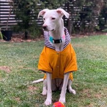 Cargar imagen en el visor de la galería, impermeable para perro Doglamour