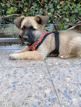 Cargar imagen en el visor de la galería, arnés para perro animal print café