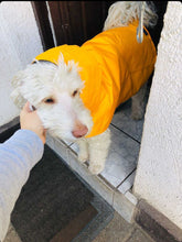 Cargar imagen en el visor de la galería, impermeable para perro Doglamour