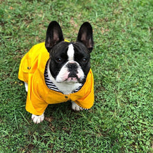 Cargar imagen en el visor de la galería, impermeable para perro Doglamour