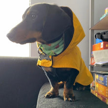 Cargar imagen en el visor de la galería, impermeable para perro Doglamour