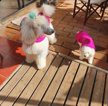 Cargar imagen en el visor de la galería, impermeable para perro Doglamour