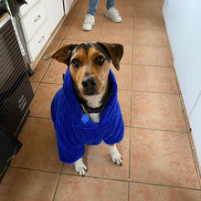 Cargar imagen en el visor de la galería, poleron para perro