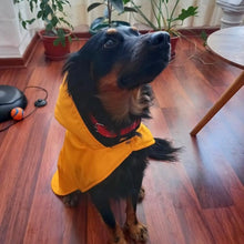 Cargar imagen en el visor de la galería, impermeable para perro Doglamour