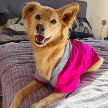 Cargar imagen en el visor de la galería, impermeable para perro Doglamour